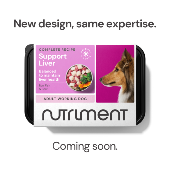 Nutriment Liver Dog Food