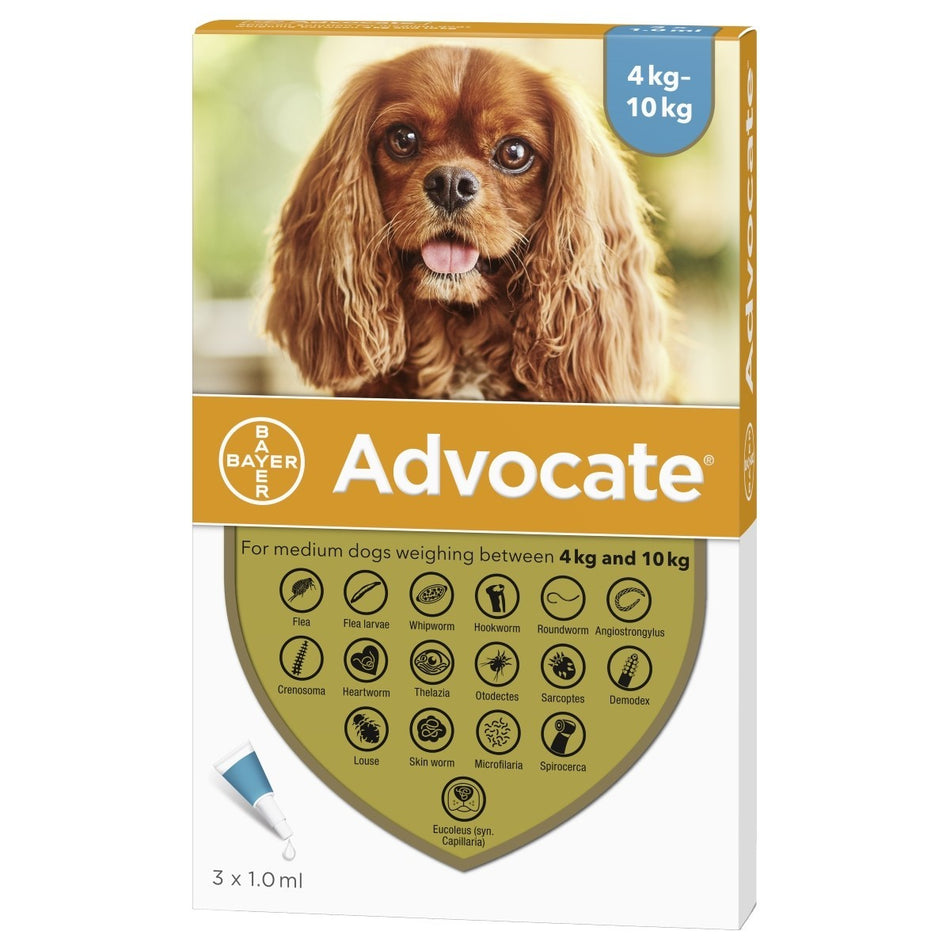 Advocate 10 - Medium Dog 10 4-10kg