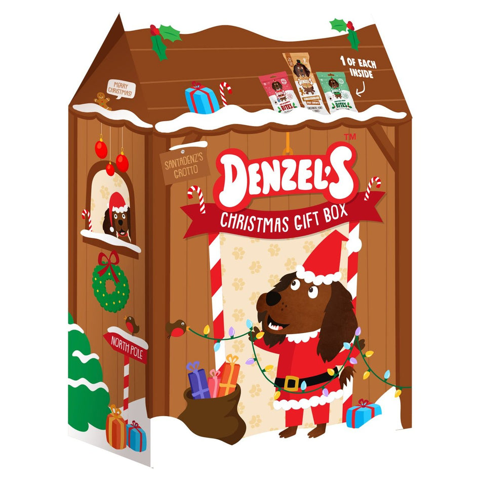 Denzel's Christmas Grotto Gift Box For Dogs