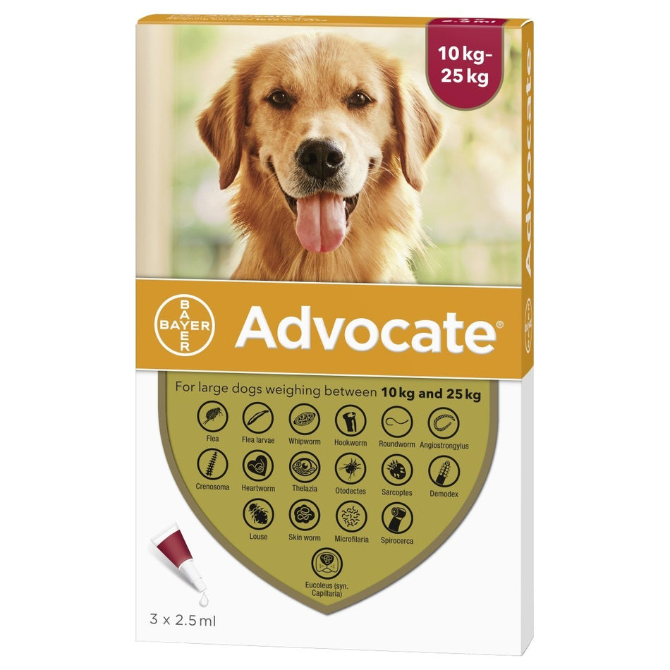 Advocate 25 - Large Dog 10-25kg