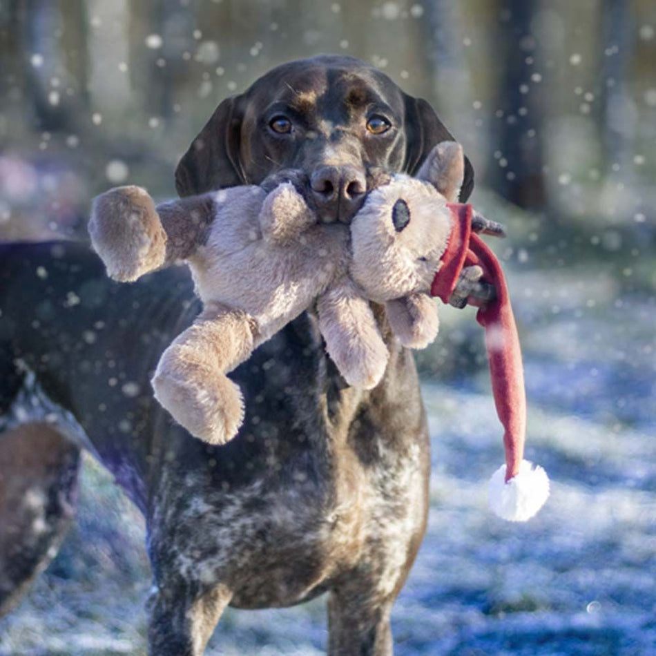 Cupid & Comet Brad The Bear Dog Toy