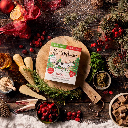 Forthglade Turkey, Cranberry & Parsnip Grain Free Christmas Dinner For Dogs 395g