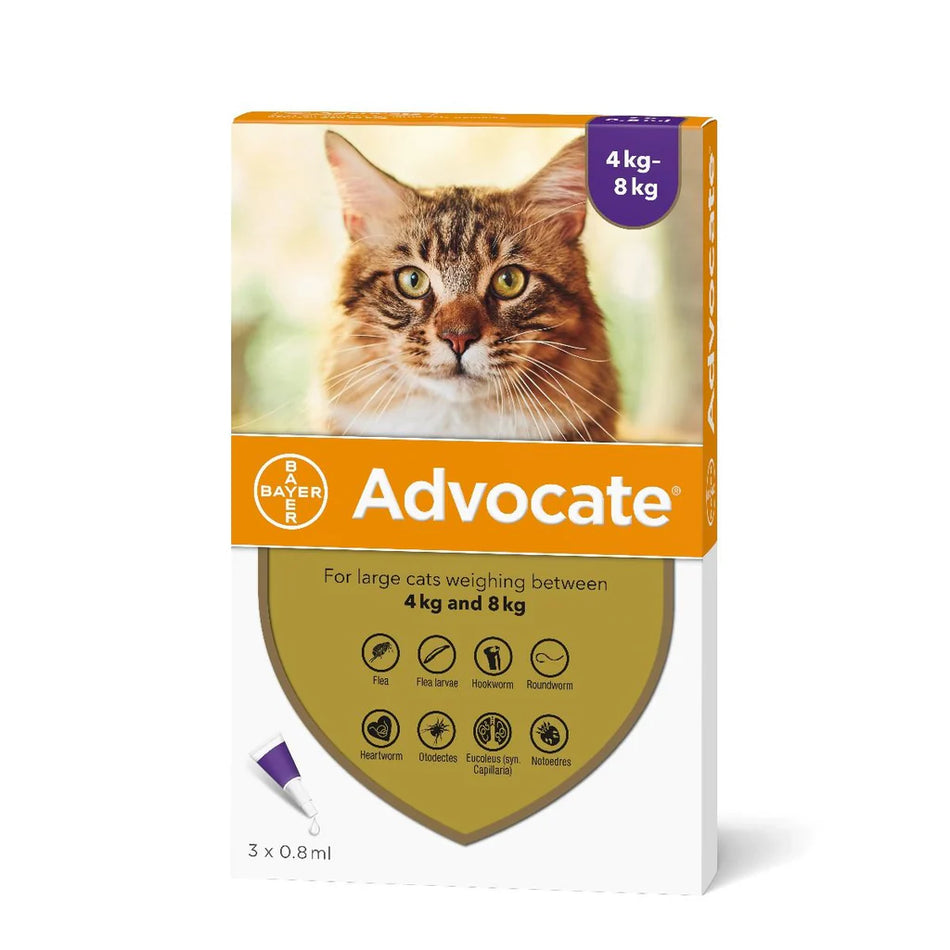 Advocate 80 - Large Cat 4-8kg