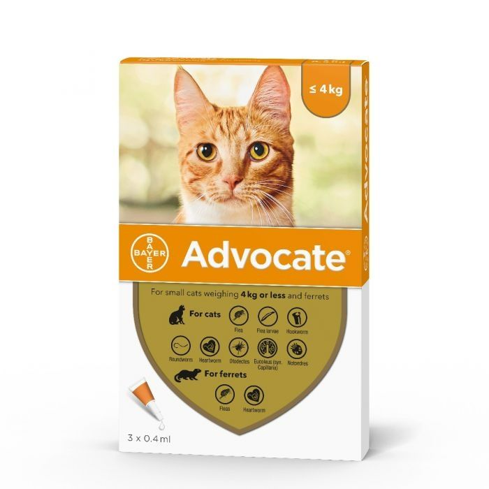 Advocate 40 - Small Cat Under 4kg