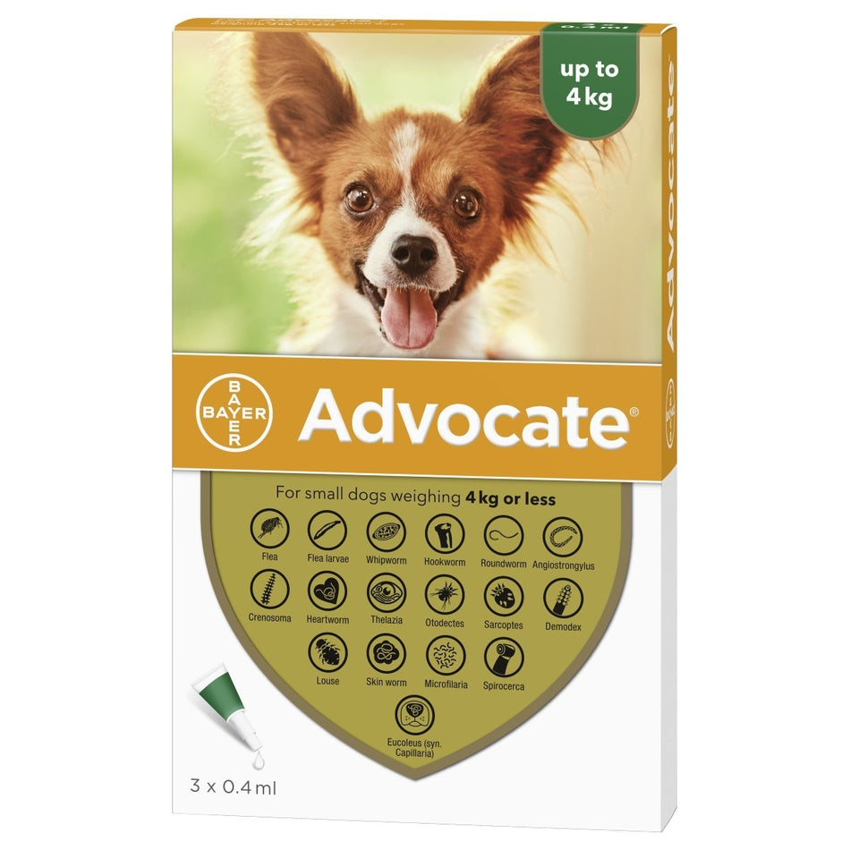 Advocate 40 - Small Dog 40 under 4kg (3 Pack)