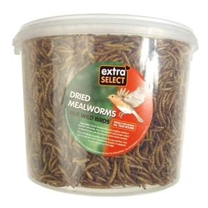 Extra Select Mealworms