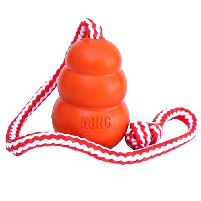 Kong Aqua Floating Dog Toy