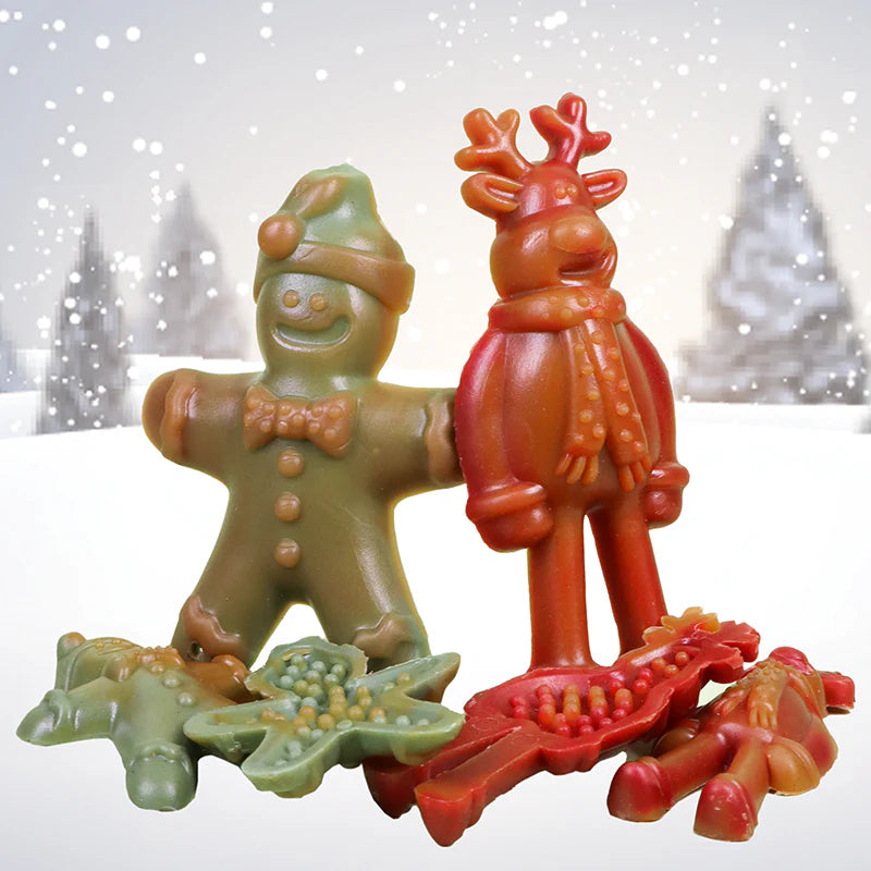 Vegetarian Dog Treats - 'Ginger & Dasher' Xmas treats