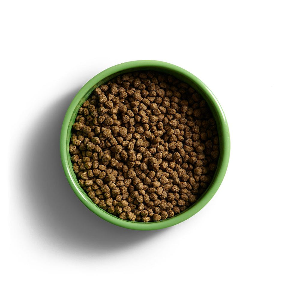 Yora Insect Protein Puppy Food